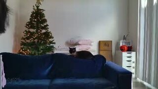 ms_mochii's Webcam